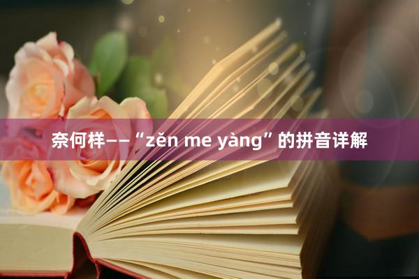 奈何样——“zěn me yàng”的拼音详解