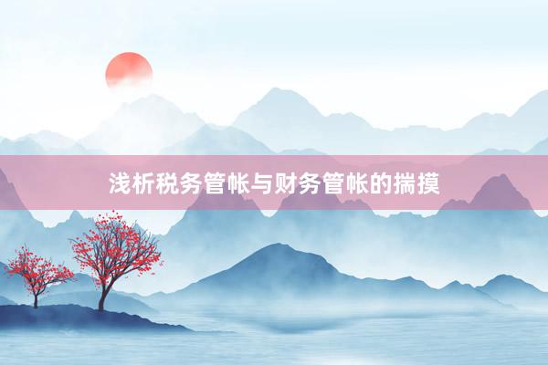 浅析税务管帐与财务管帐的揣摸
